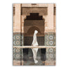 Neo at the El-Mechouar Palace