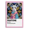 Pantone - The morrocan goat