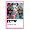 Pantone - The morrocan goat