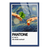 Pantone - Berrad Atay